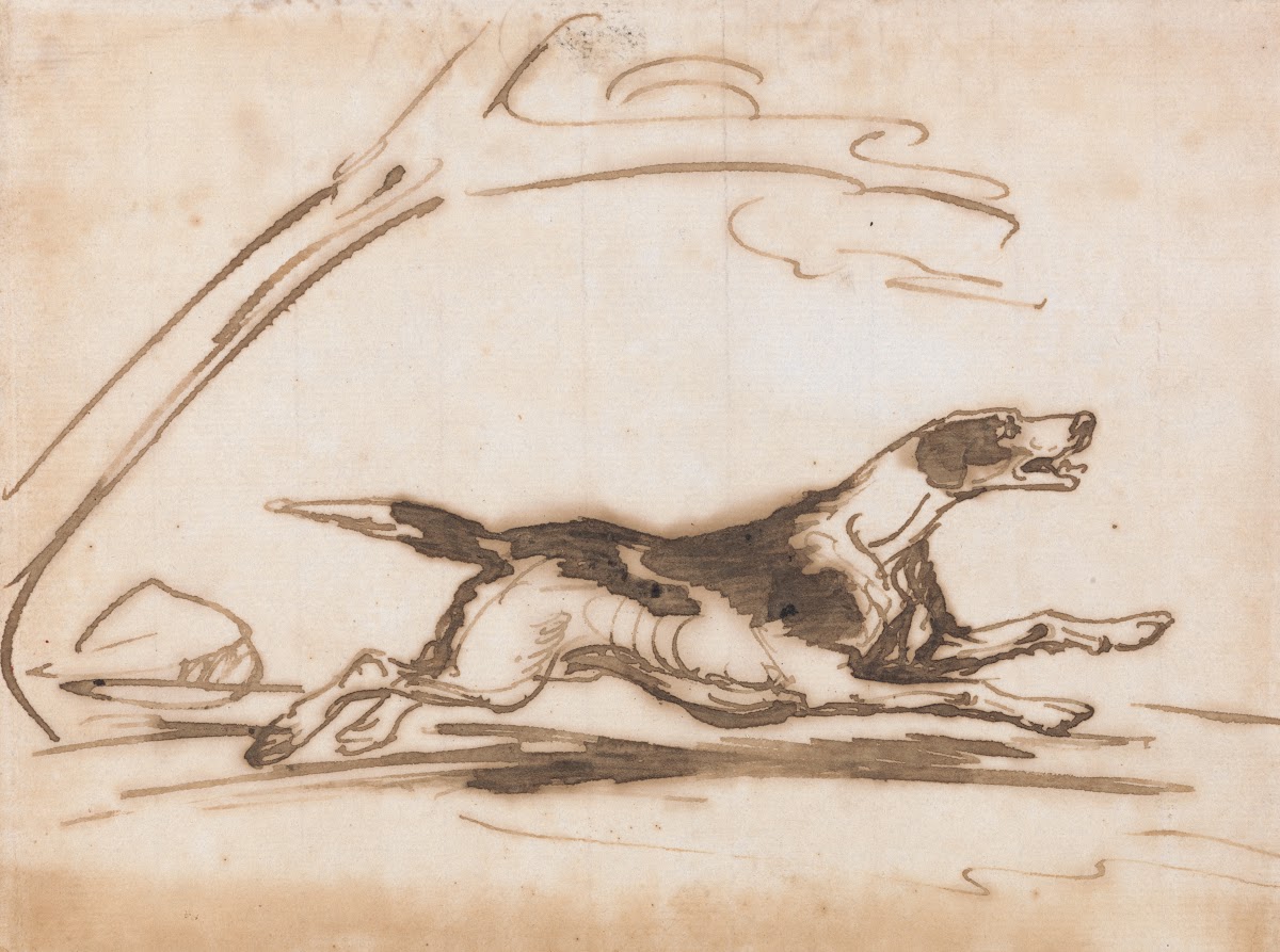 Study of a Hound Running