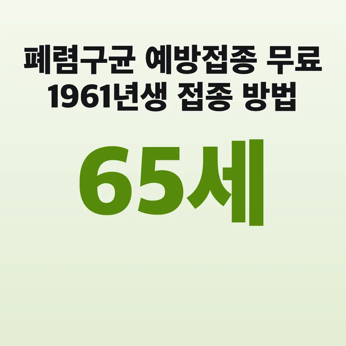 폐렴구균 예방접종 65세 무료 1961년생 접종 방법