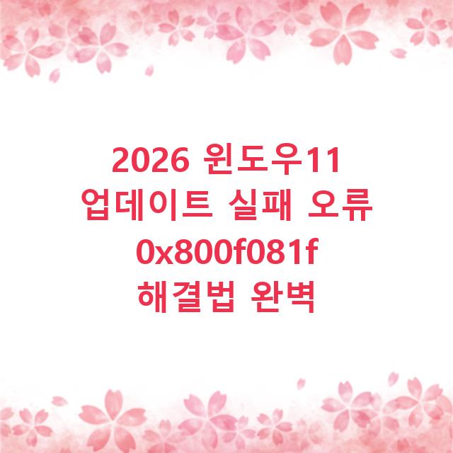 2026 윈도우11 업데이트 실패 오류 0x800f081f 해결법 완벽