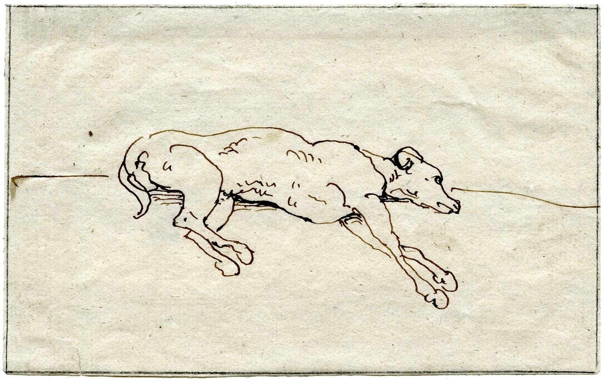 Liggende hond