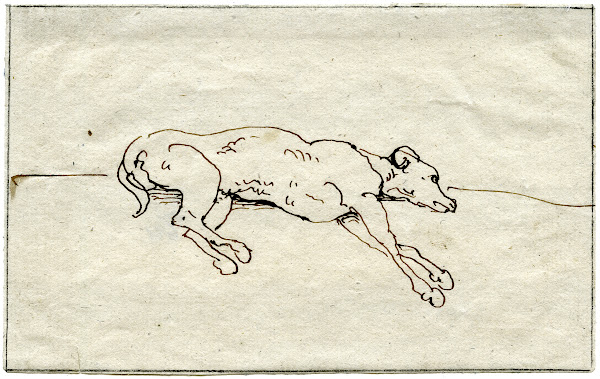 Liggende hond