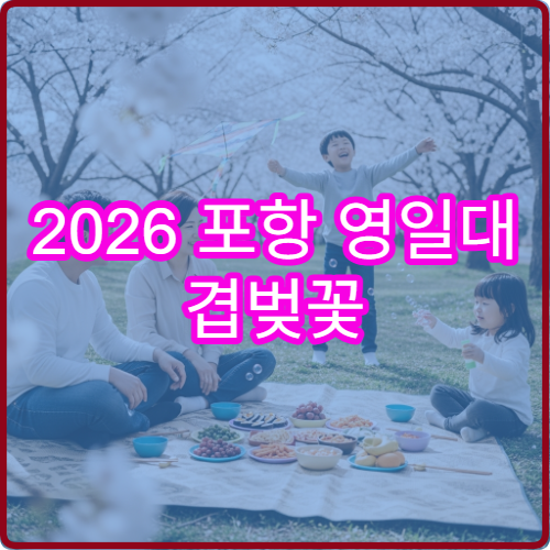 2026 포항 영일대 겹벚꽃 인생샷 포토존 TOP5 위치와 촬영 팁 정리