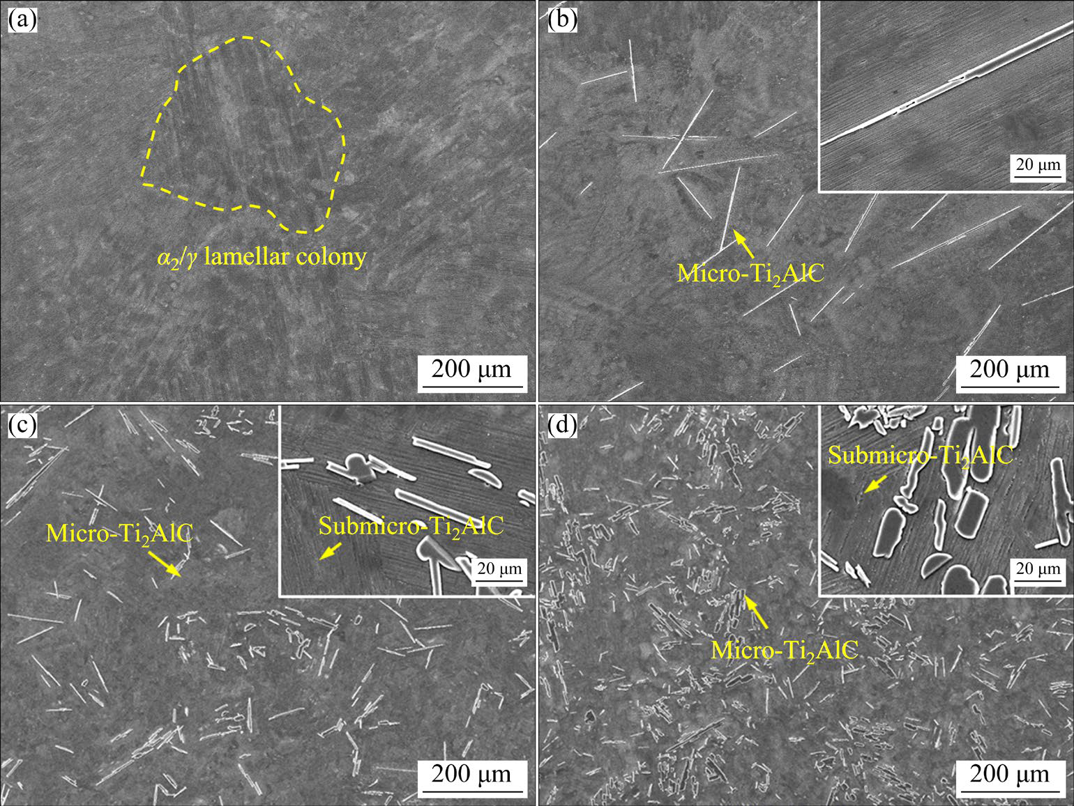 Fabrication, microstructure and high-temperature strengthening mechanism of multi-scale Ti2AlC/TiAl composite