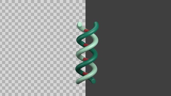 Animated 3D Rotating DNA Double Helix Free Download – Envato Elements