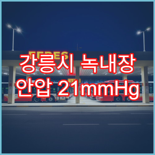 강릉시 녹내장 안압 21mmHg 이상 시 응급 치료 병원 가이드