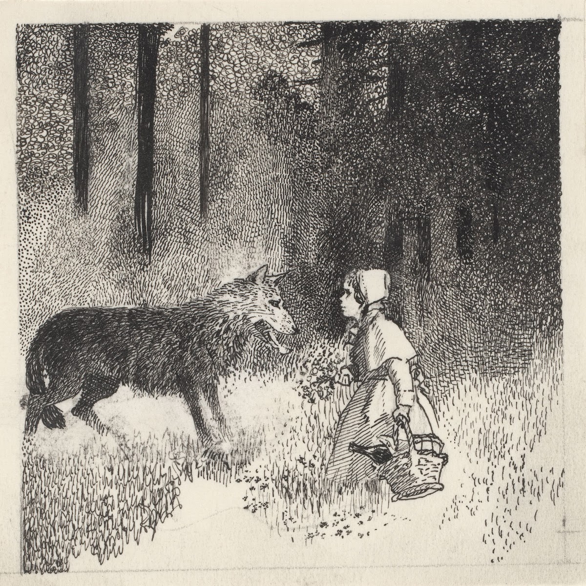 Roodkapje en de wolf