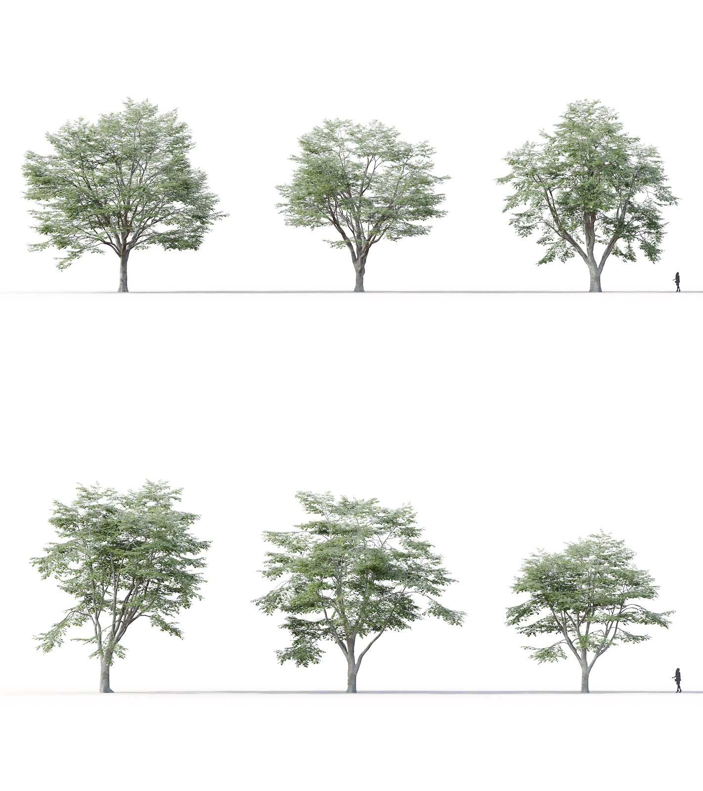Maxtree - Plant Models Vol.16