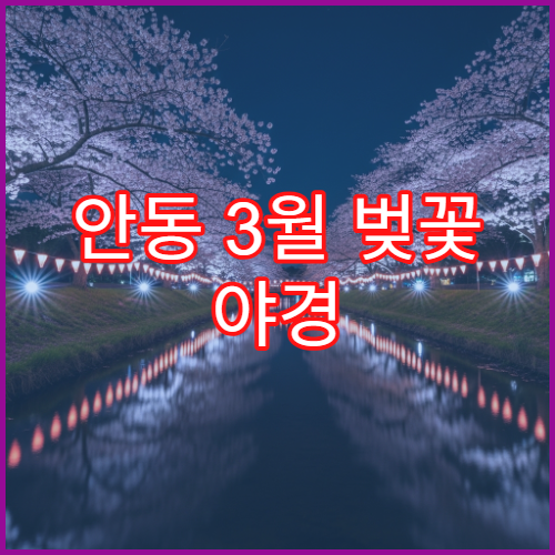 안동 3월 벚꽃 야경 드론 촬영 허용 구역과 주의 팁