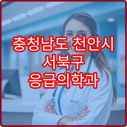 충청남도 천안시 서북구 응급의학과 설날 연휴 24시간 진료 병원 위치