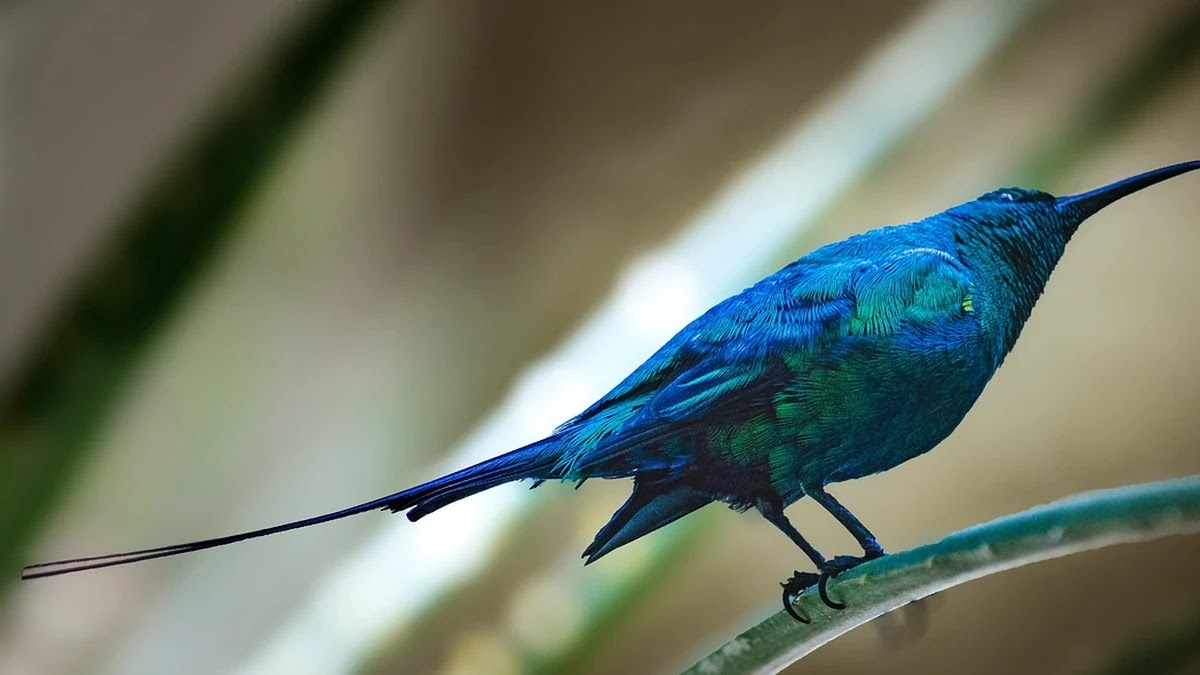 의료비 영수증에 표기된 검사 및 치료용어 쉽게 풀어보기