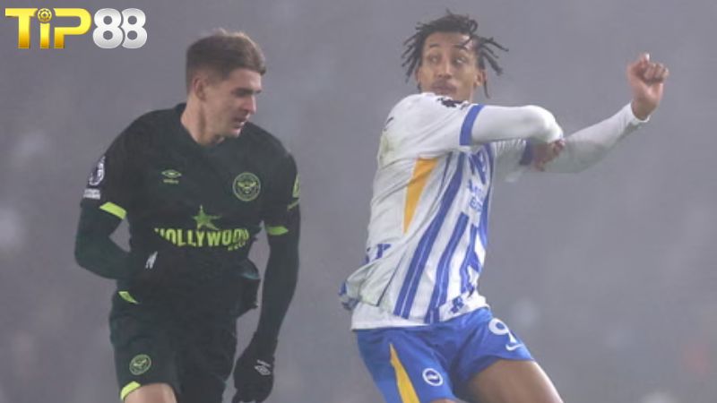 Lịch sử đối đầu Brighton vs Brentford