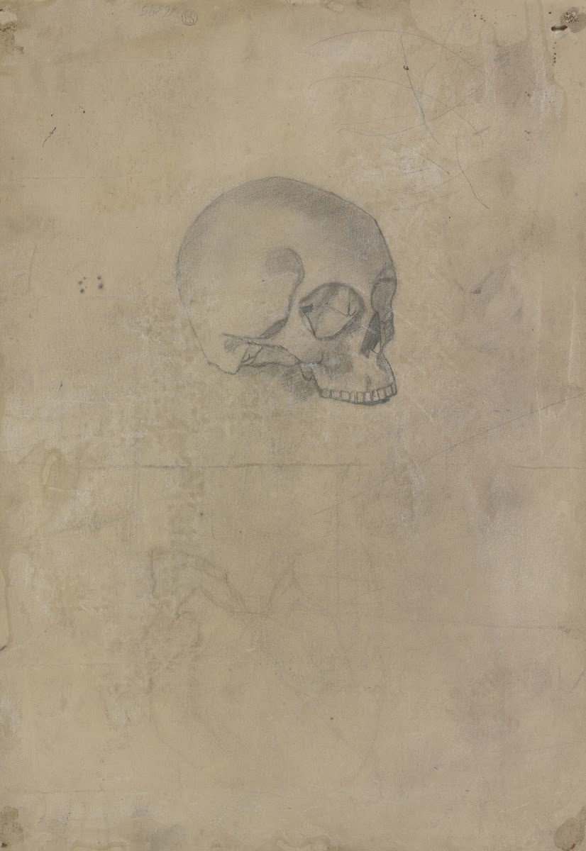Skull