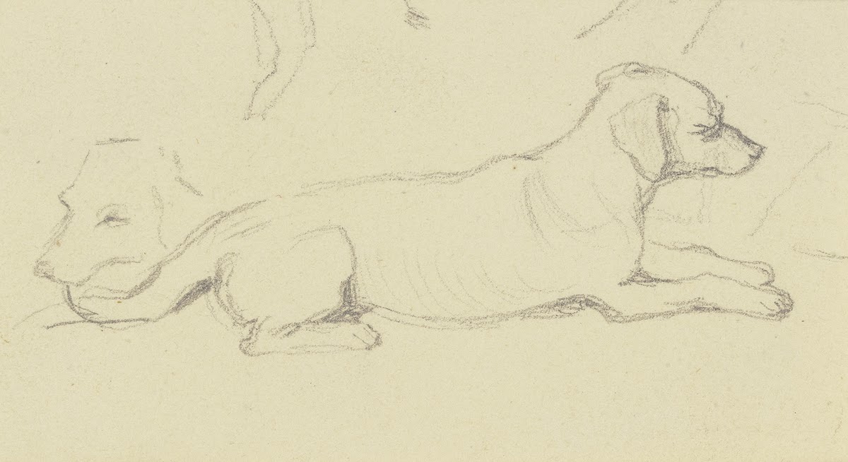 Two dogs