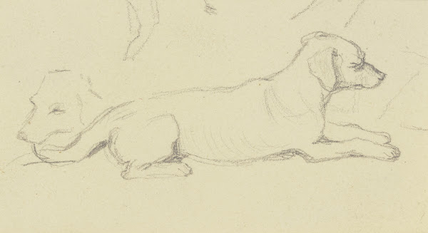 Two dogs