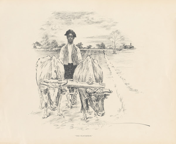 The ploughman 1899