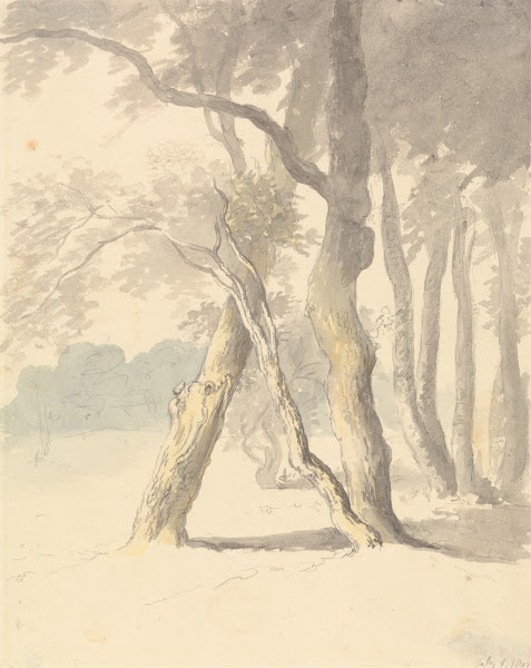 Woodland Study 1802