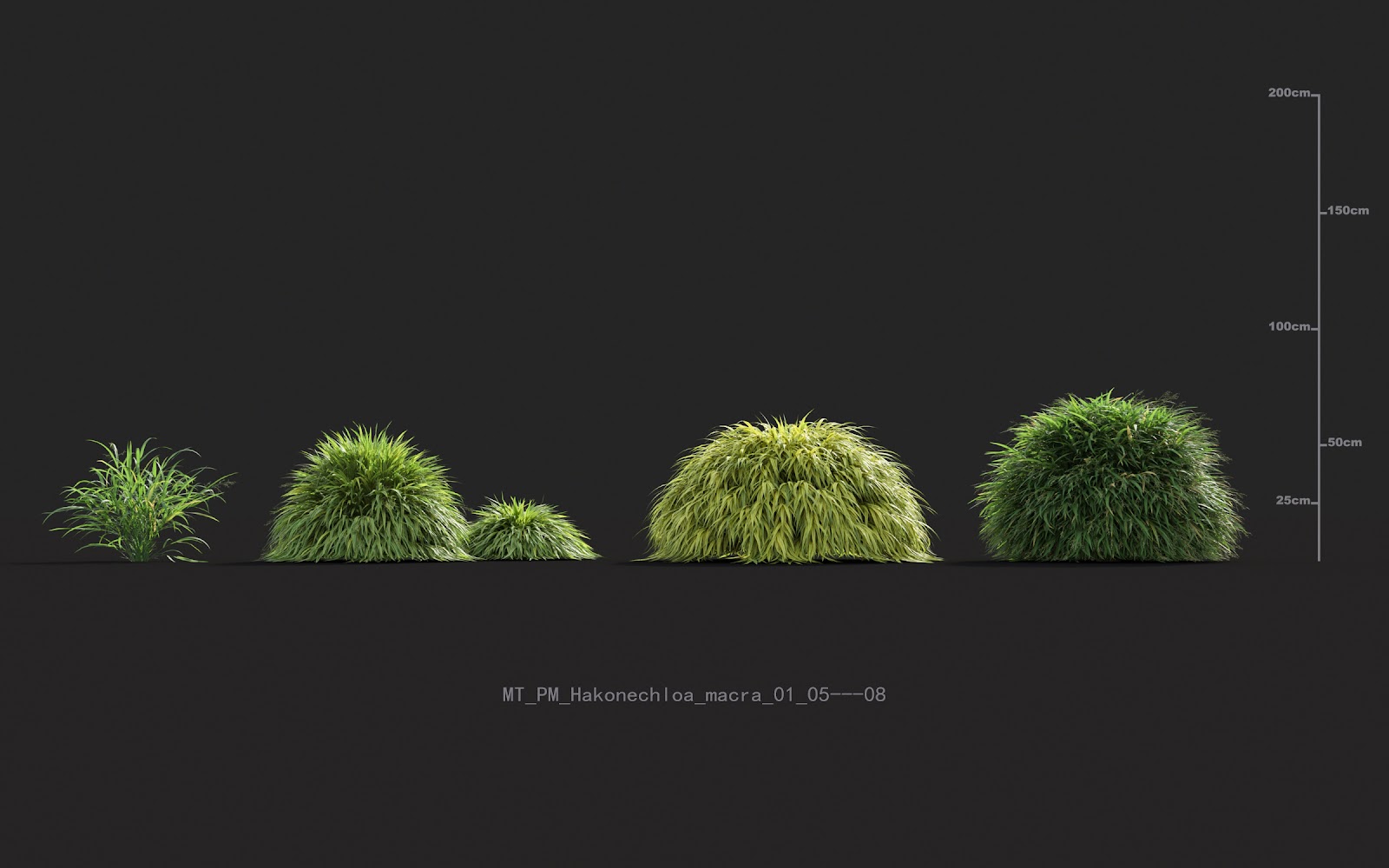 Maxtree - Plant Models Vol.20