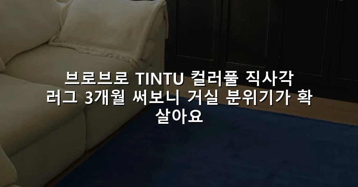 브로브로 TINTU 컬러풀 직사각 러그 3개월 써보니 거실 분위기가 확 살아요
