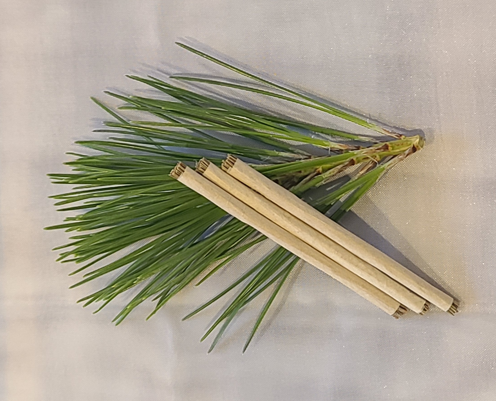 かごカフェ　コノハナサクヤの画像