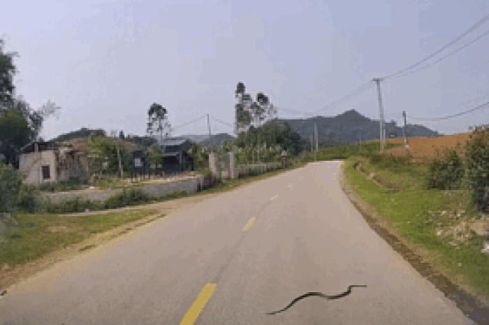 Nhóm thanh niên vội nhảy xuống ô tô vì lý do đặc biệt, xem camera nhiều người phải sợ hãi - Tạp chí SaoStar