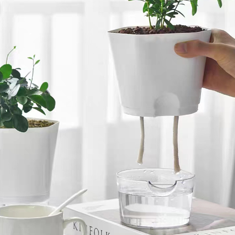 Self-watering flower pot, plastic