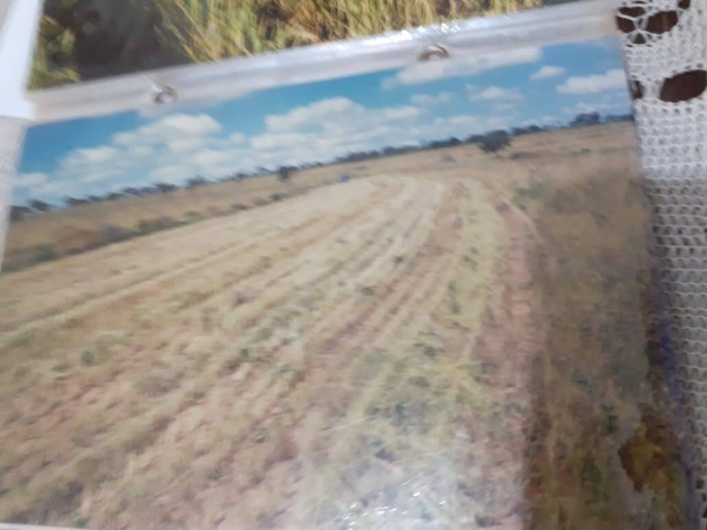 Fazenda em Arinos - MG 2