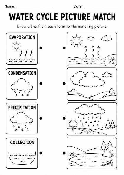 Water Cycle Picture Match