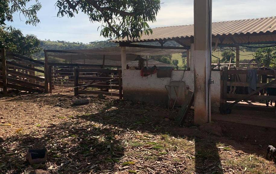Chácara Petrolina de Goiás 10