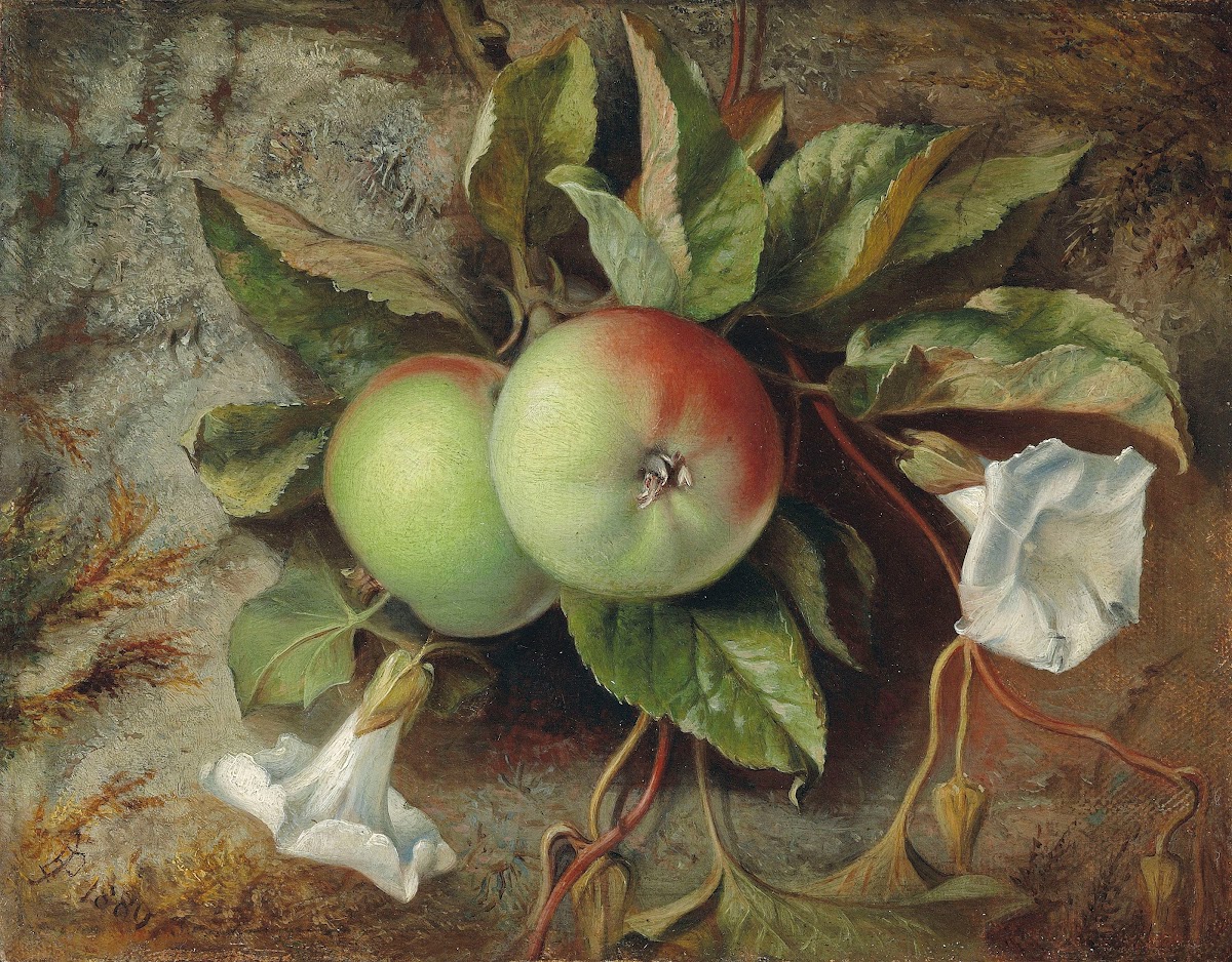 Autumn Apples and convolvulus 1880