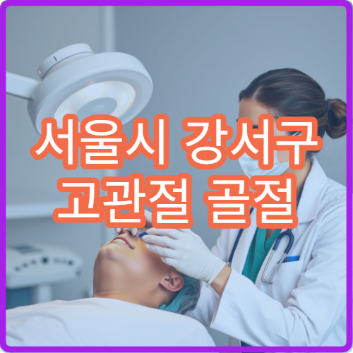 서울시 강서구 고관절 골절 수술 재활 노인 전문 정형외과 병원