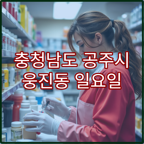 충청남도 공주시 웅진동 일요일 당번약국 문 여는 약국 안내 정리