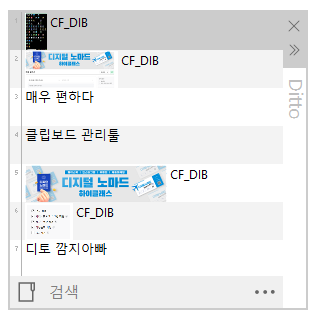 Ditto 히스토리 패널