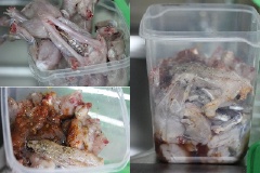 Thịt ếch làm sạch, ướp với 2 muỗng canh hắc xì dầu, 1 muỗng canh rượu trắng, 1 muỗng canh tương ớt, 1 muỗng cà phê ớt bột, 3 muỗng canh dầu hào, 1 muỗng canh dầu mè, 1 muỗng canh bột ngũ vị hương, 1/2 muỗng cà phê tiêu khoảng 10 phút.
