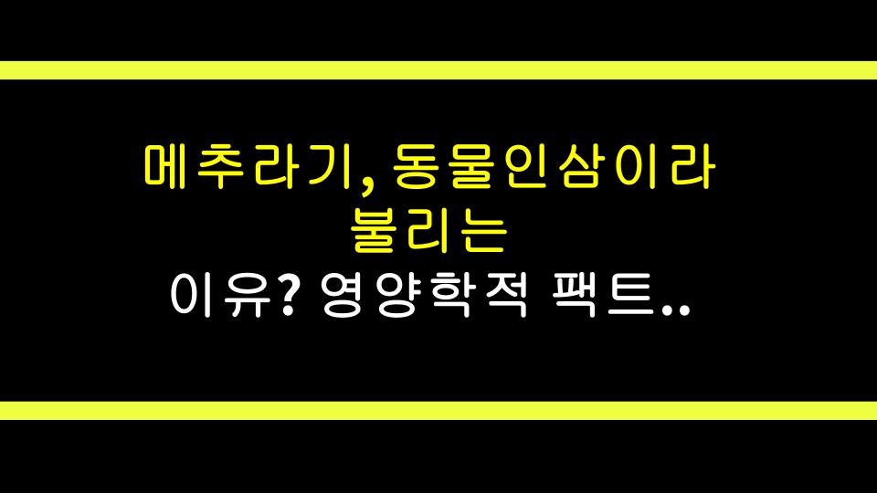메추라기, 동물인삼이라 불리는 이유? 영양학적 팩트 폭격!