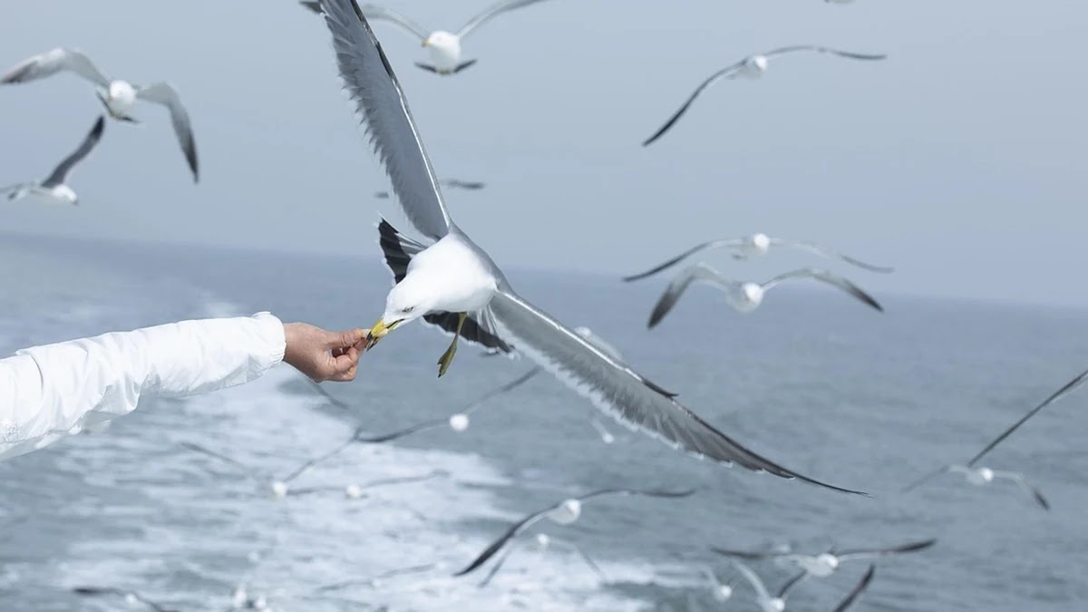 영화 스릴러 장르에서 긴장감 조성하는 서사 기법 분석