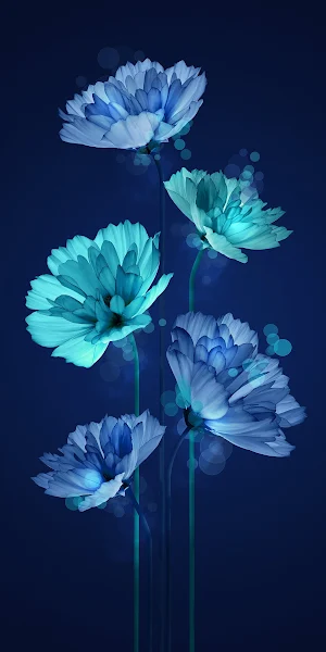 Flower, Plant, Blue, Azure, Petal Full HD iPhone Wallpaper Background