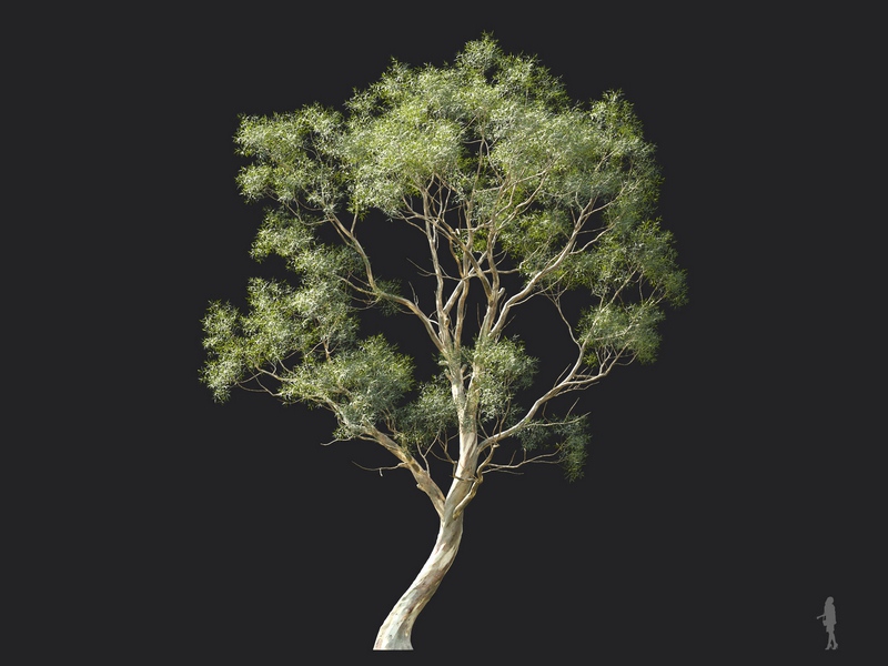 Maxtree - Plant Models Vol.124