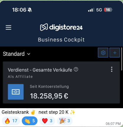 Gesamt-Verdienst Uebersicht