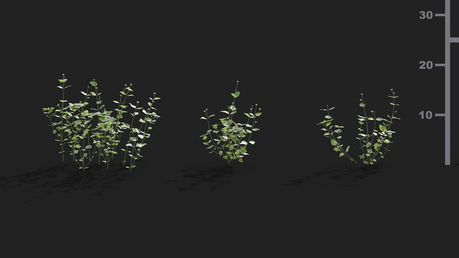 Maxtree - Plant Models Vol.21