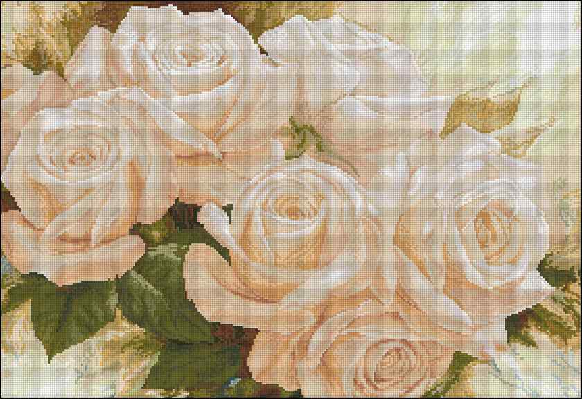 CMP 170245 Bouquet Of White Roses