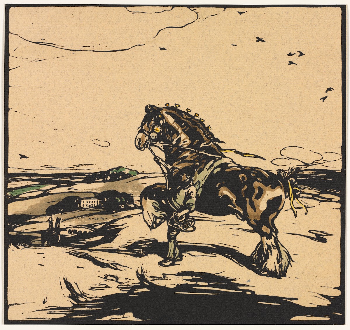 The Shire Horse 1904