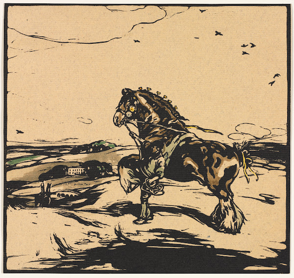 The Shire Horse 1904