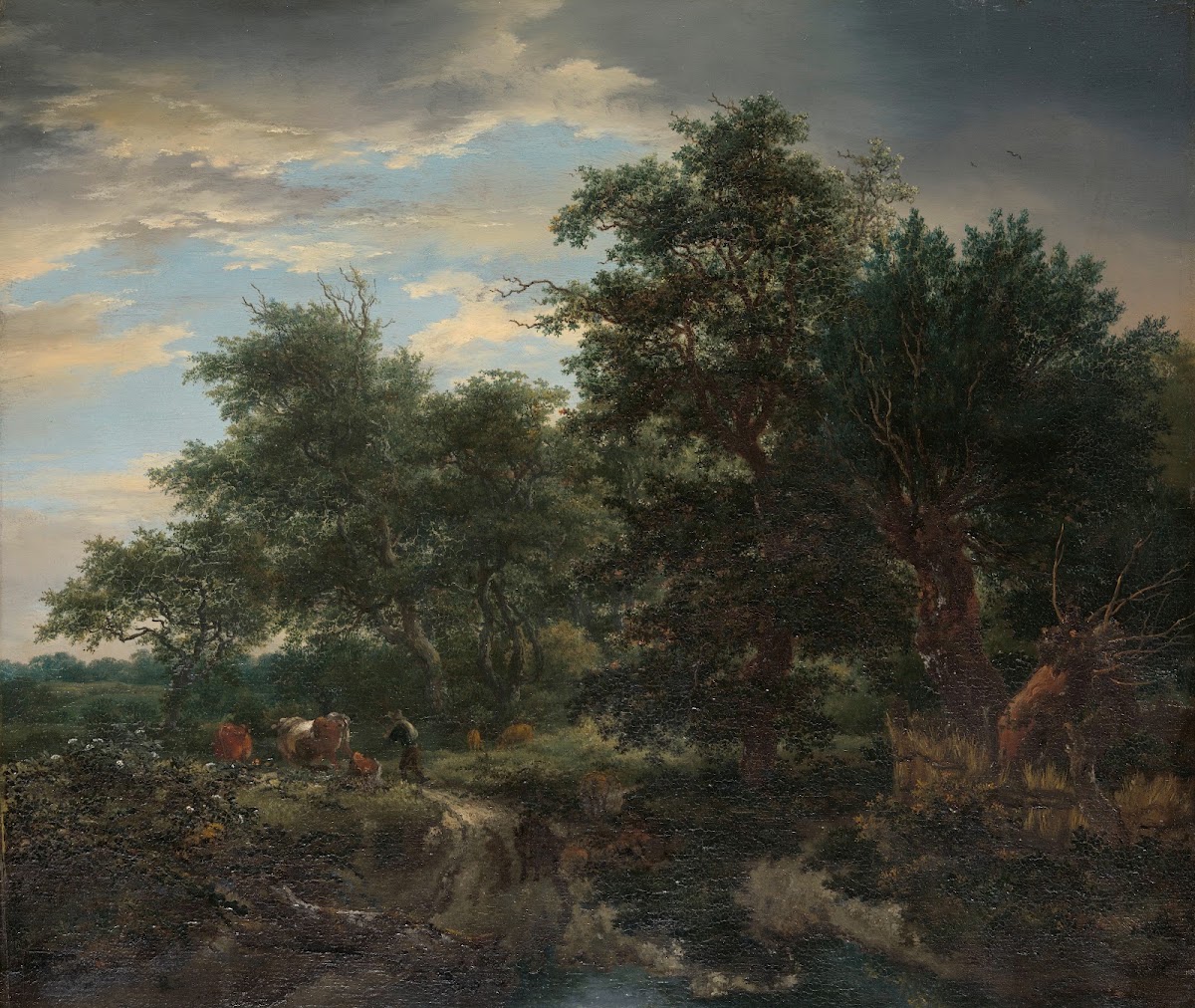 Forest scene 1653