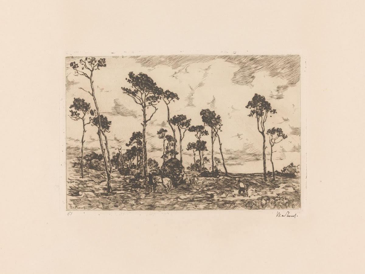 Hakhout laden 1896