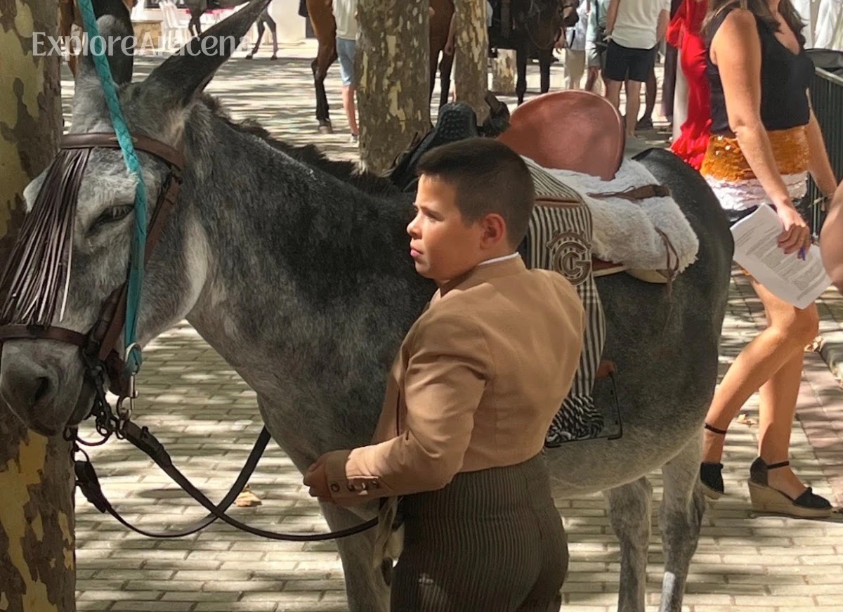 Young boy standing beside a donkey during the daytime celebrations at the Feria de Aracena.