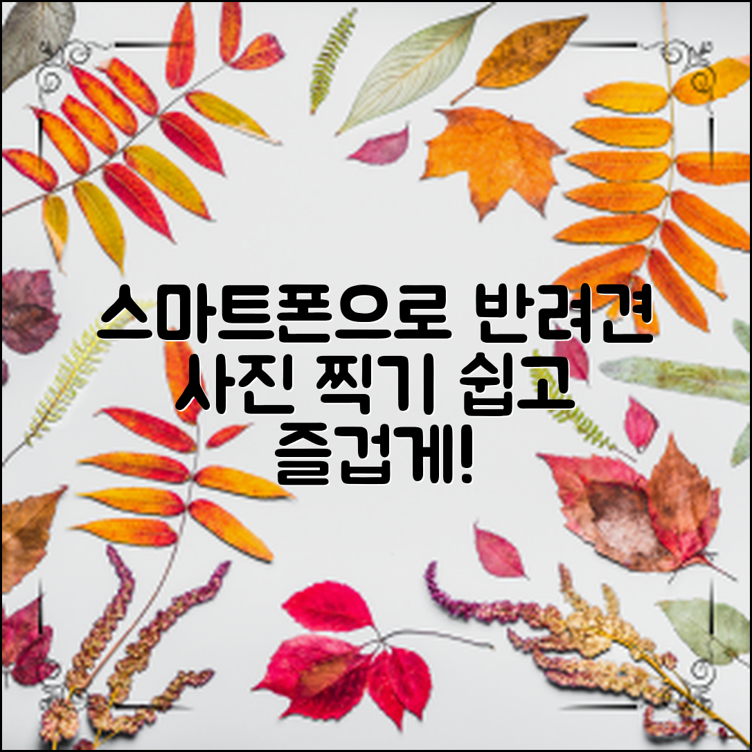 스마트폰으로 반려견 사진 쉽게 찍는 법