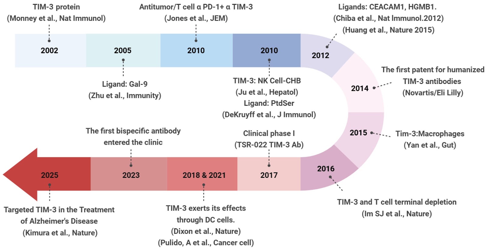 Immune checkpoint TIM-3 in tumor immunotherapy
