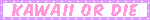 Tumblr L9137