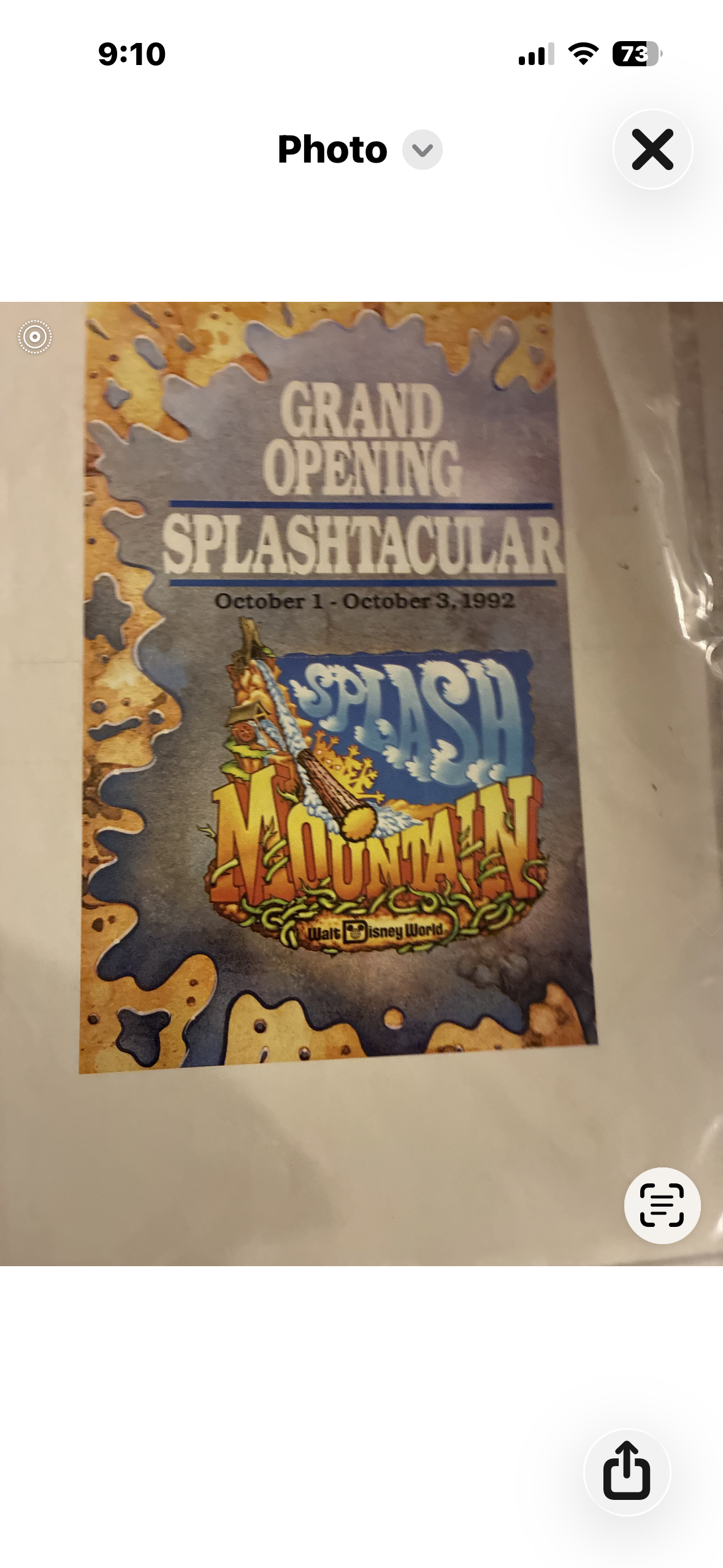 Walt Disney World Splash Mountain Grand Opening Splashtacular commemorative flyer, 5x8 inch glossy cardstock with watercolor-style background and Splash Mountain logo, October 1992