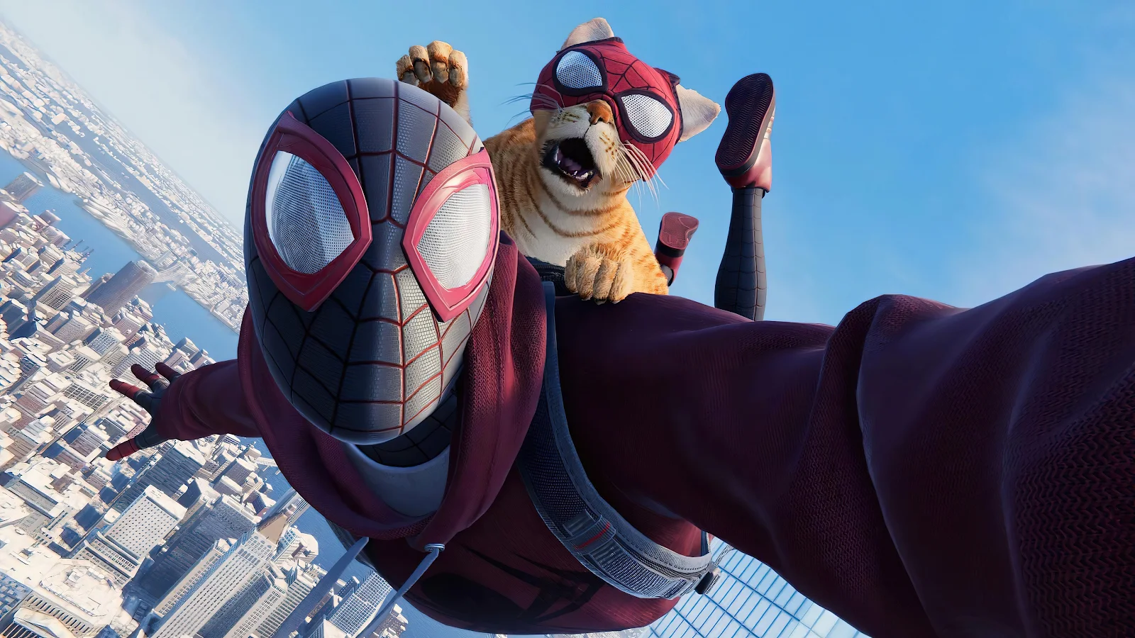 Miles, Spider Cat, Spiderman, Gameplay 4K Desktop, iPhone Wallpaper Background